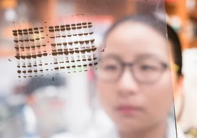 Photograph of a researcher holding up a clear plastic film with black lines printed on it. The lines show a western blot. The researcher has dark hair and is wearing glasses, but the details of their face are obscured by the film.