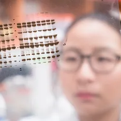 Photograph of a researcher holding up a clear plastic film with black lines printed on it. The lines show a western blot. The researcher has dark hair and is wearing glasses, but the details of their face are obscured by the film.