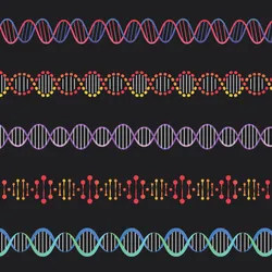 Conceptual vector style images of multicolored DNA on a black background.