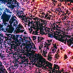 Conceptual 3D image of purple and pink DNA molecules on a black background.