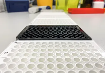 Black and white 96-well microplates on a lab bench illustrating how plate color affects assay signal
