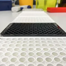 Black and white 96-well microplates on a lab bench illustrating how plate color affects assay signal