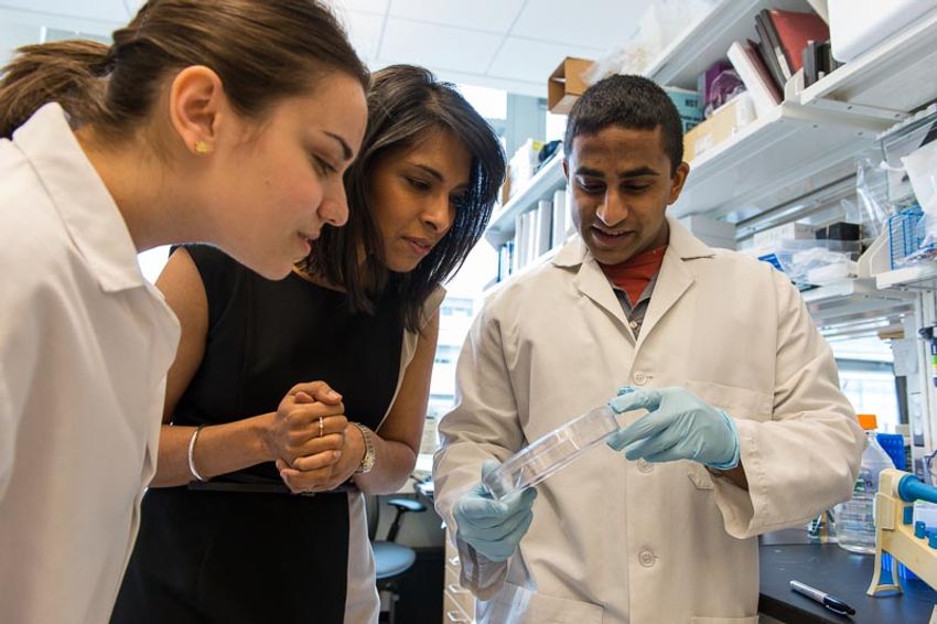 Sangeeta Bhatia stands in the lab between two students wearing white lab coats, clasping her hands as she looks curiously at a Petri dish held by one of the students.