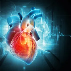 Image of a heart against a dark background.