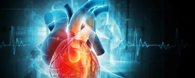 Image of a heart against a dark background.