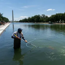 A person uses a vacuum to clean algae out of a reflecting pool.