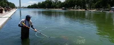A person uses a vacuum to clean algae out of a reflecting pool.