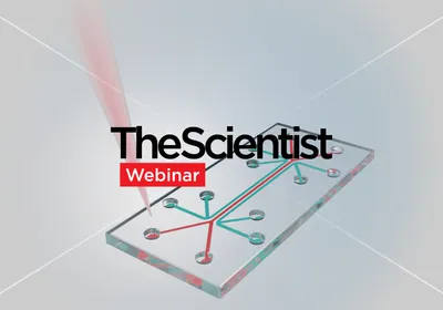 Scaling Organ-on-a-Chip Technology for Human-Relevant Drug Discovery