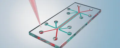 Scaling Organ-on-a-Chip Technology for Human-Relevant Drug Discovery