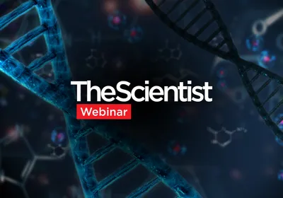 Automating Nucleic Acid Extraction for Clinical Genomics