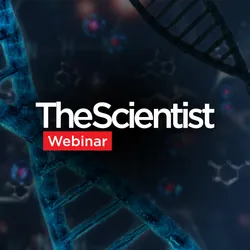 Automating Nucleic Acid Extraction for Clinical Genomics