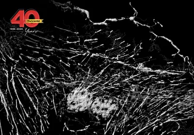 Microfilaments, mitochondria, and nuclei in fibroblast cells are shown in a super-resolution microscopy image in greyscale. The TS 40th anniversary logo is on the top left.