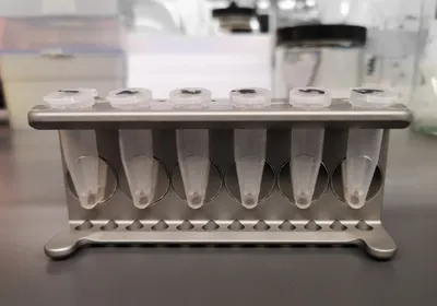Protein purification with magnetic beads