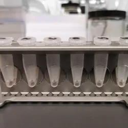 Protein purification with magnetic beads