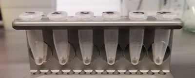 Protein purification with magnetic beads