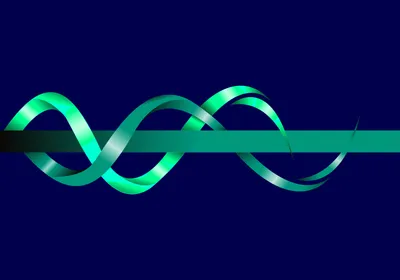 Two helical strands unwinding