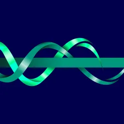 Two helical strands unwinding