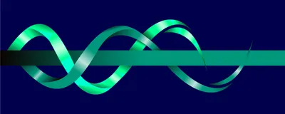 Two helical strands unwinding