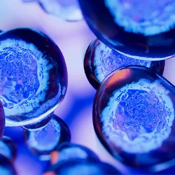 3D illustration of cells, signifying 3D super-resolution microscopy.
