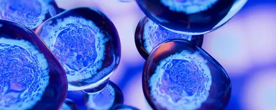 3D illustration of cells, signifying 3D super-resolution microscopy.