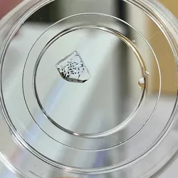 A photo of a dish in which cells, which look like small dots, have been enlarged and stained to make them visible to the naked eye via improving on expansion microscopy.