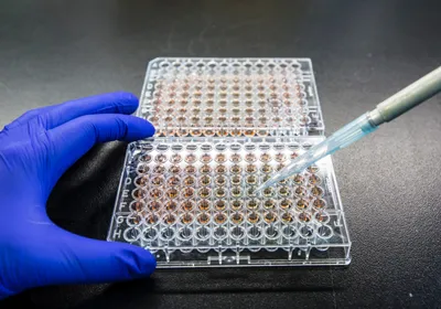 A photo of a scientist pipetting a sample into a 96-well plate.