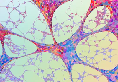 Abstract image of a multicolored cellular network.