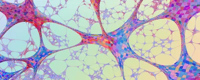 Abstract image of a multicolored cellular network.