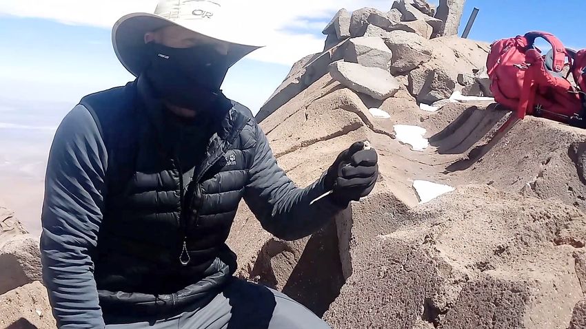A researcher holds a tiny Andean leaf-eared mouse at the summit of the volcano Llullaillaco.