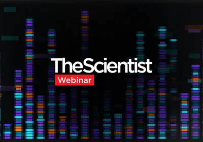 Beyond ChIP-seq: Unlocking High-Quality Epigenomic Insights with CUT&RUN Services