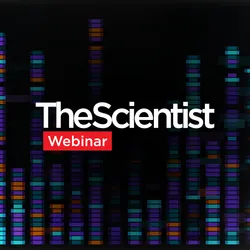 Beyond ChIP-seq: Unlocking High-Quality Epigenomic Insights with CUT&RUN Services