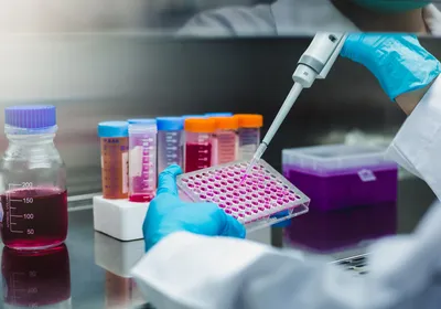 Researcher pipetting cell culture samples into a multiwell plate for in vitro drug screening