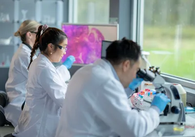 Researchers examine biological samples in an oncology lab