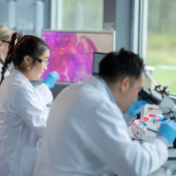 Researchers examine biological samples in an oncology lab