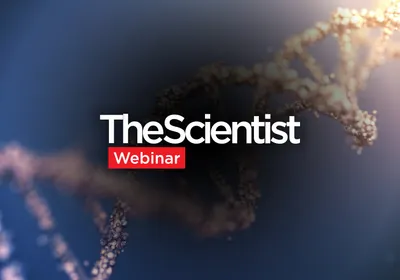 Characterizing Gene Therapy Vectors With Analytical Ultracentrifugation