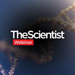Characterizing Gene Therapy Vectors With Analytical Ultracentrifugation