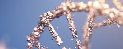 Characterizing Gene Therapy Vectors With Analytical Ultracentrifugation