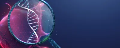 Repairing the Injured Nervous System With Stem Cells