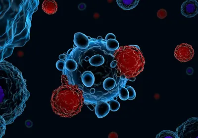 Image of T cells attacking a cancer cell.