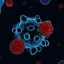 Image of T cells attacking a cancer cell.