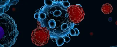 Image of T cells attacking a cancer cell.