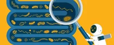 Illustration of blue intestines with drawings of bacteria within it on a yellow background. A small robot, representing AI tools, holds up a magnifying glass over part of the intestine