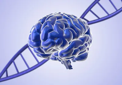 A DNA strand, representing gene therapy, is shown behind a brain.