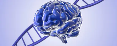 A DNA strand, representing gene therapy, is shown behind a brain.