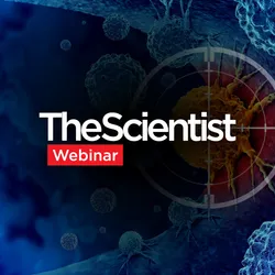 Understanding How the Tumor Microenvironment Reshapes Anti-Tumor Immunity