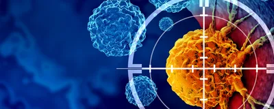 Understanding How the Tumor Microenvironment Reshapes Anti-Tumor Immunity