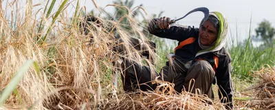 A farmer holds a scythe as she works outdoors in India’s extreme heat.