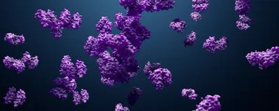 An illustration of purple proteins floating in front of a dark blue background. 