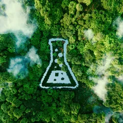 A conical flask-shaped pond in the middle of a lush virgin rainforest, indicating sustainable lab practices