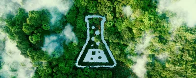 A conical flask-shaped pond in the middle of a lush virgin rainforest, indicating sustainable lab practices